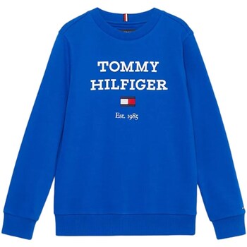 Vêtements Garçon Sweats Tommy Hilfiger KB0KB08713 Bleu
