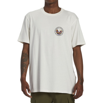 Vêtements Homme Débardeurs / T-shirts sans manche Billabong Rockies Blanc