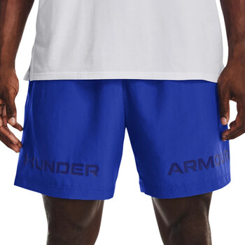 Vêtements Homme Shorts / Bermudas Under capuz ARMOUR 1361433-486 Bleu