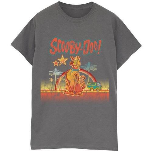 Vêtements Femme T-shirts manches longues Scooby Doo Palm Trees Multicolore