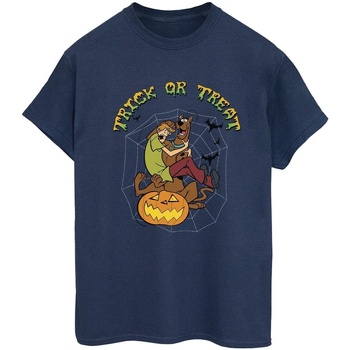 Vêtements Femme T-shirts manches longues Scooby Doo Trick Or Treat Bleu