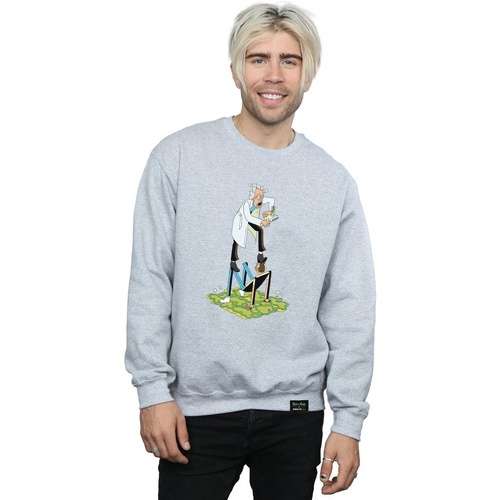 Vêtements Homme Sweats Rick And Morty Stylised Characters Gris