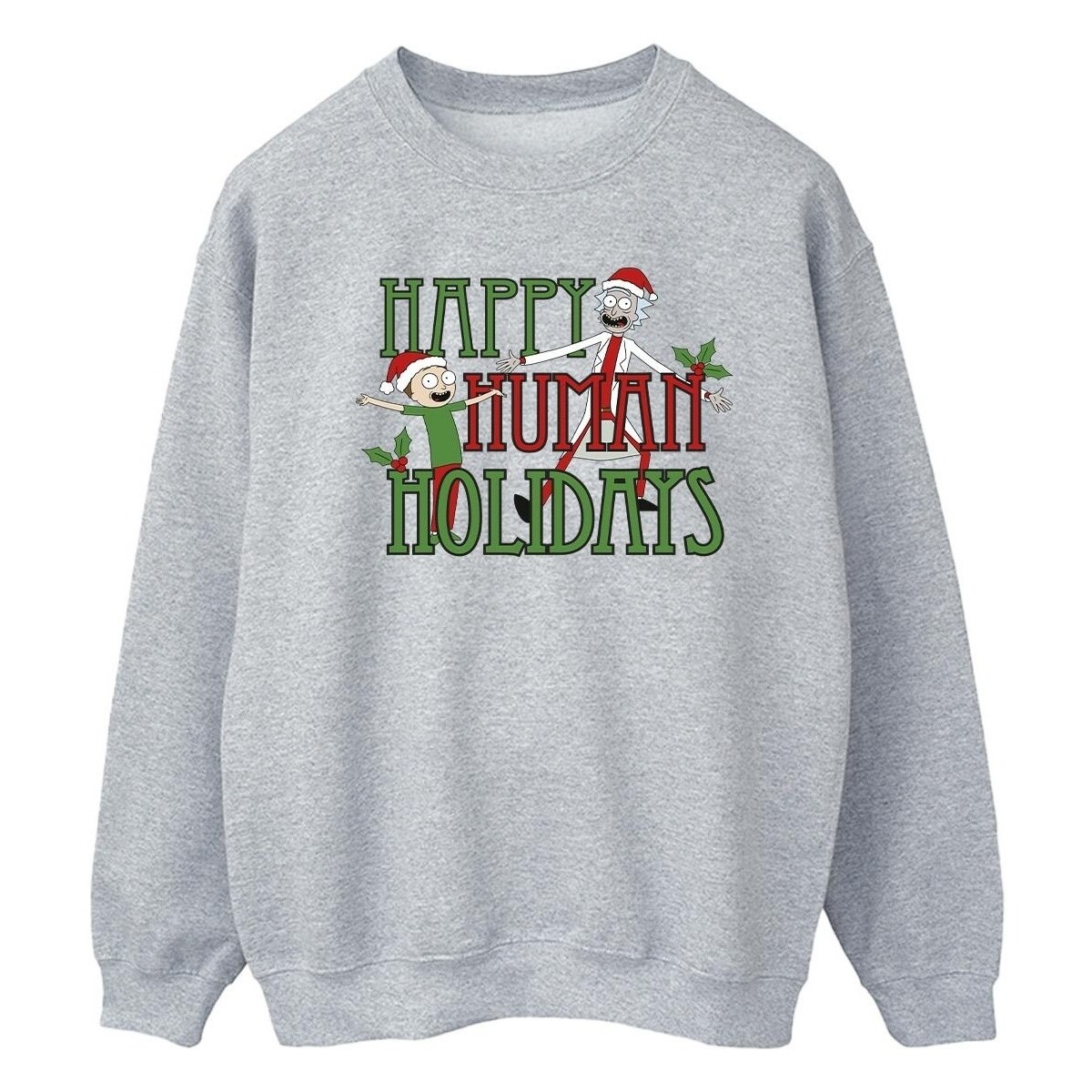 Vêtements Homme Sweats Rick And Morty Happy Human Holidays Gris