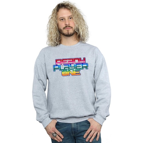 Vêtements Homme Sweats Ready Player One Rainbow Logo Gris