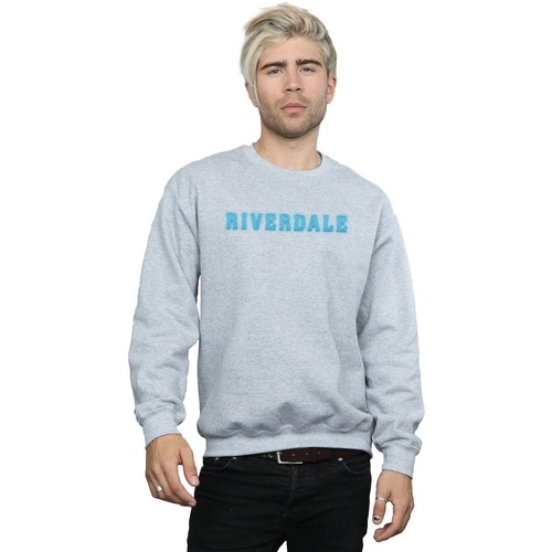 Vêtements Homme Sweats Riverdale Neon Logo Gris