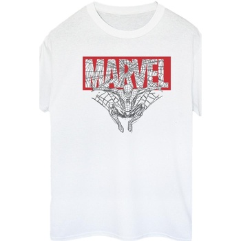 Vêtements Femme T-shirts manches longues Marvel Spider Man Logo Red Blanc