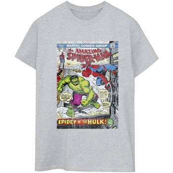 Vêtements Femme T-shirts manches longues Marvel Spider-Man VS Hulk Cover Gris