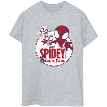 Vêtements Femme T-shirts manches longues Marvel Spidey And His Amazing Friends Circle Gris