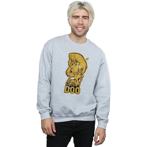 Vêtements Homme Sweats Scooby Doo And Shaggy Gris