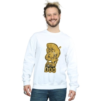 Vêtements Homme Sweats Scooby Doo And Shaggy Blanc