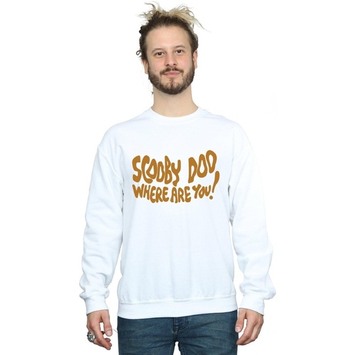Vêtements Homme Sweats Scooby Doo Where Are You Spooky Blanc