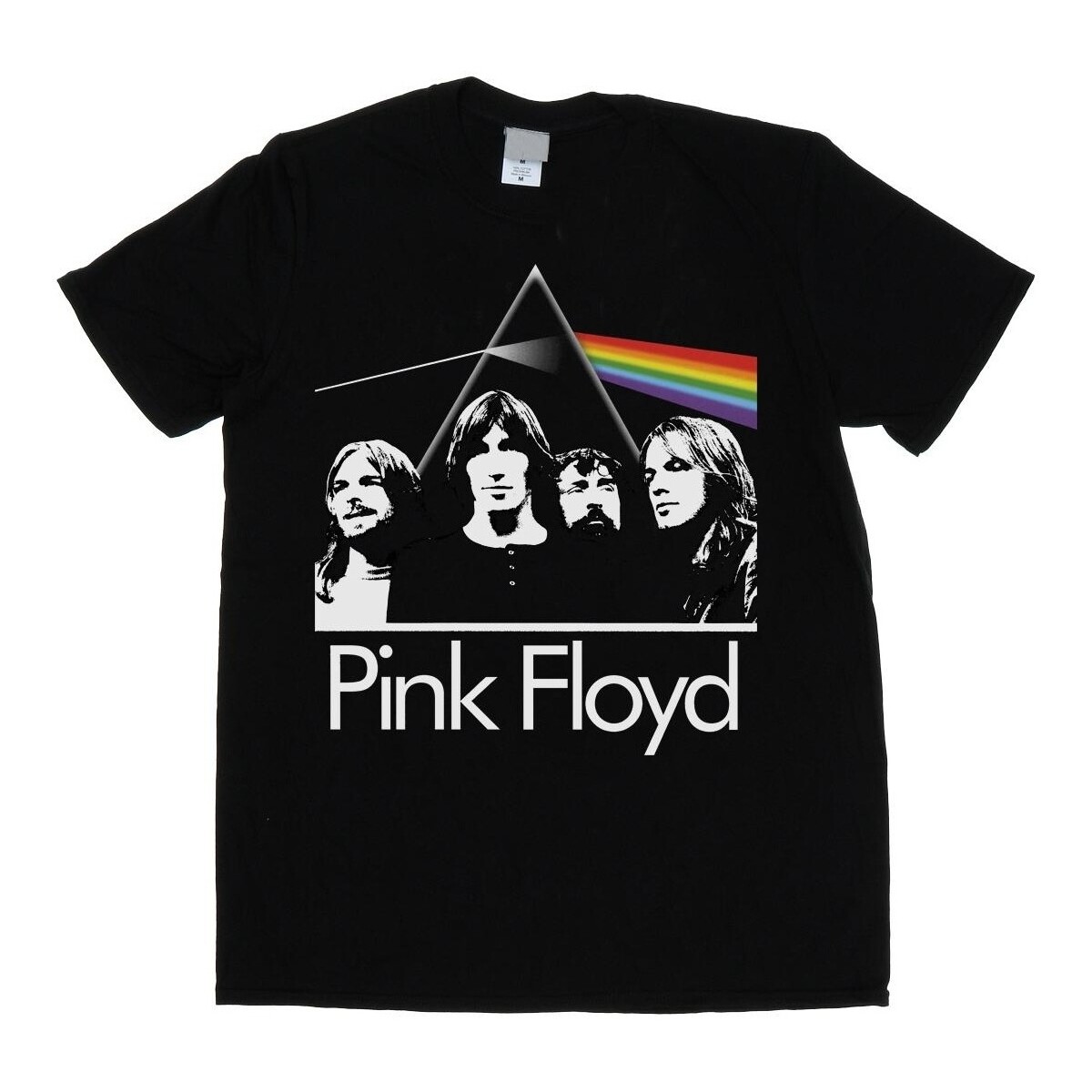 Vêtements Homme T-shirts manches longues Pink Floyd Photo Prism Noir