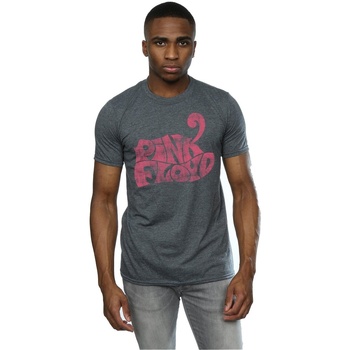Vêtements Homme T-shirts manches longues Pink Floyd  Gris