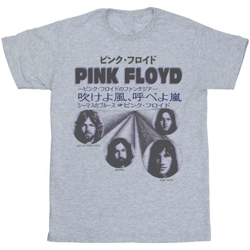 Vêtements Homme T-shirts manches longues Pink Floyd Japanese Cover Gris