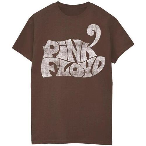 Vêtements Homme Recevez une réduction de Pink Floyd Logo 70s Multicolore