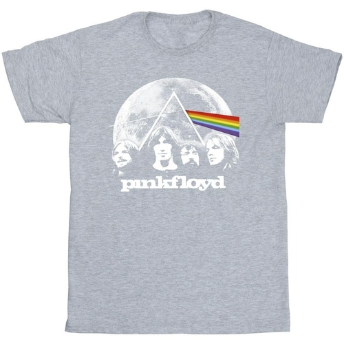 Vêtements Homme T-shirts manches longues Pink Floyd BI44154 Gris