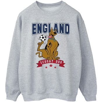 Vêtements Homme Sweats Scooby Doo England Football Gris
