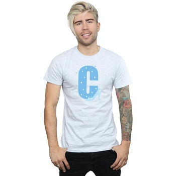 Vêtements Homme T-shirts manches longues Disney Alphabet C Is For Cinderella Gris