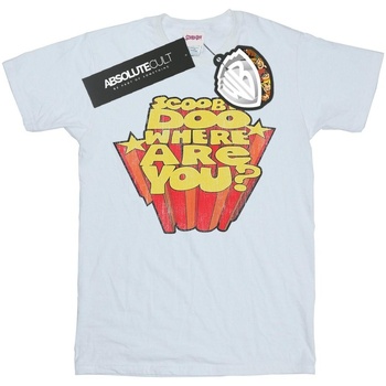 Vêtements Homme T-shirts manches longues Scooby Doo Where Are You? Blanc