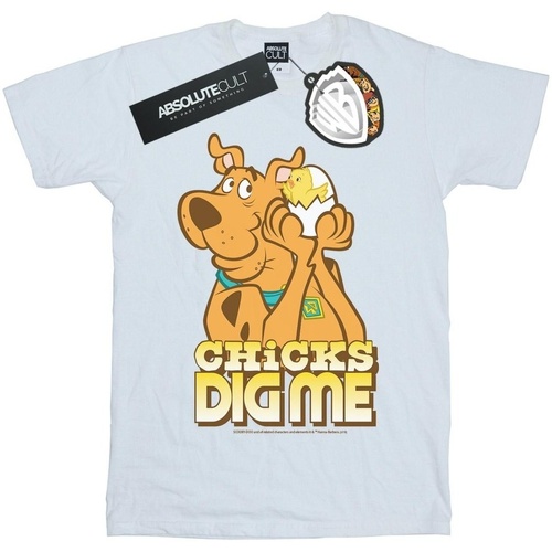 Vêtements Homme T-shirts manches longues Scooby Doo Chicks Dig Me Blanc