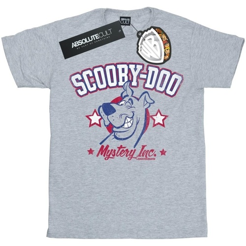 Vêtements Homme T-shirts manches longues Scooby Doo Collegiate Mystery Inc Gris