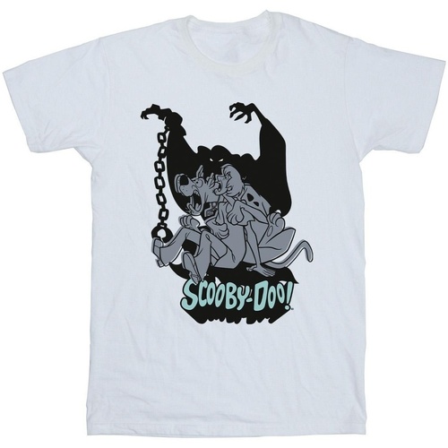 Vêtements Homme T-shirts manches longues Scooby Doo Scared Jump Blanc