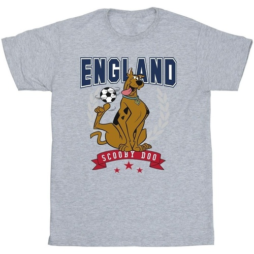 Vêtements Homme T-shirts manches longues Scooby Doo England Football Gris