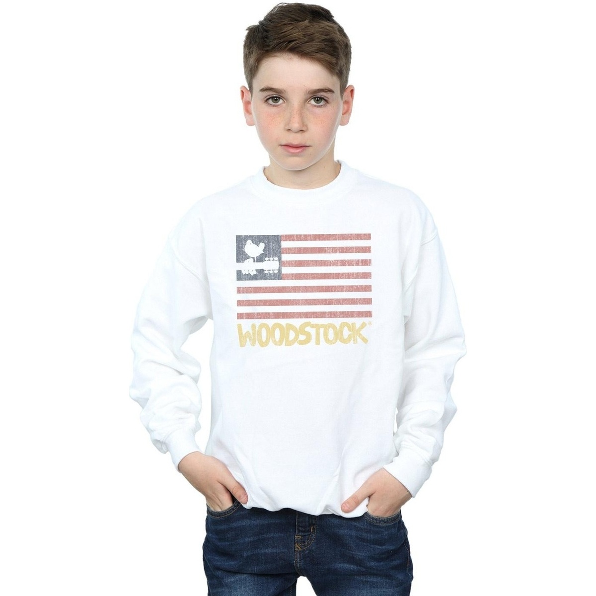 Vêtements Garçon Sweats Woodstock Distressed Flag Blanc