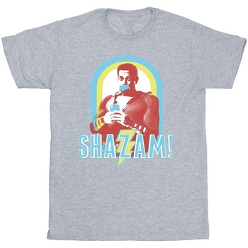 Vêtements Homme T-shirts manches longues Dc Comics Shazam Buble Gum Frame Gris