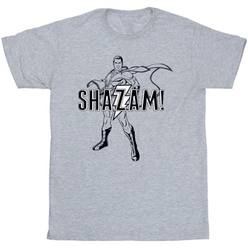 Vêtements Homme T-shirts manches longues Dc Comics Shazam Outline Gris