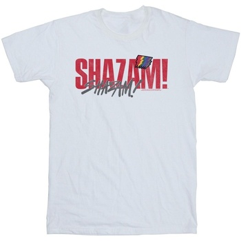 Vêtements Homme T-shirts manches longues Dc Comics Shazam Fury Of The Gods Pride Distress Blanc