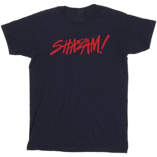 Vêtements Homme T-shirts manches longues Dc Comics Shazam Fury Of The Gods Spray Paint Logo Bleu