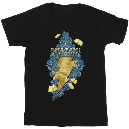 Vêtements Homme T-shirts manches longues Dc Comics Shazam Fury Of The Gods Golden Animal Bolt Noir