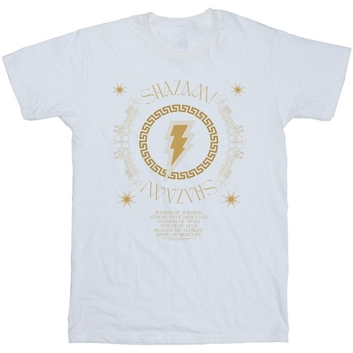 Vêtements Homme T-shirts manches longues Dc Comics Shazam Fury Of The Gods Golden Spiral Chest Blanc