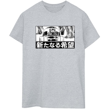 Vêtements Femme T-shirts manches longues Disney R2D2 Japanese Gris
