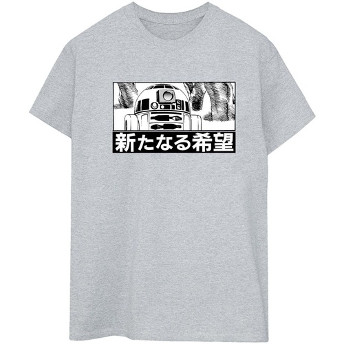 Vêtements Femme T-shirts manches longues Disney R2D2 Japanese Gris