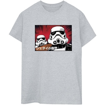 Vêtements Femme T-shirts manches longues Disney Stormtrooper Japanese Gris