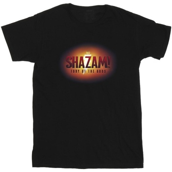Vêtements Homme T-shirts manches longues Dc Comics Shazam Fury Of The Gods 3D Logo Flare Noir