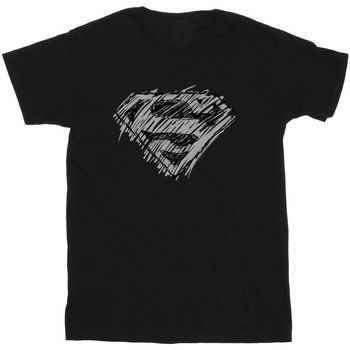 Vêtements Homme T-shirts manches longues Dc Comics Superman Logo Sketch Noir
