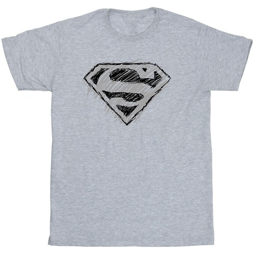 Vêtements Homme T-shirts manches longues Dc Comics Superman Logo Sketch Gris