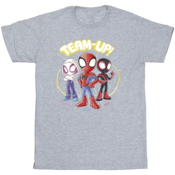 Vêtements Homme T-shirts manches longues Marvel Spidey And His Amazing Friends Sketch Gris