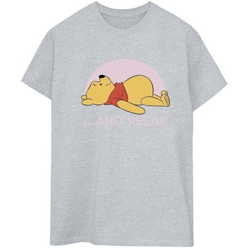 Vêtements Femme T-shirts manches longues Disney Winnie The Pooh Relax Gris