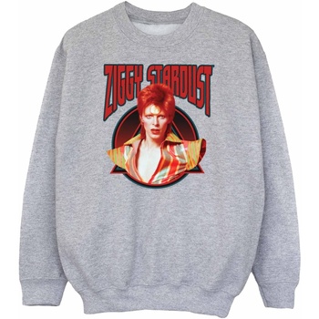 Vêtements Fille Sweats David Bowie Ziggy Stardust Gris