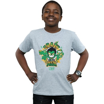 Vêtements Garçon T-shirts manches courtes Dc Comics Teen Titans Go Crazy For Pizza Gris