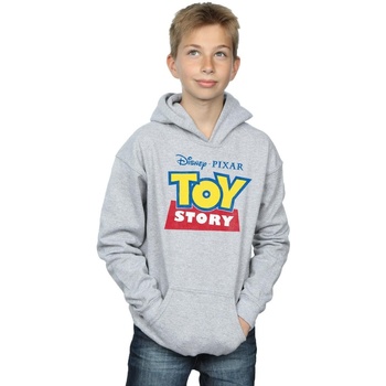 Vêtements Garçon Sweats Disney Toy Story Logo Gris