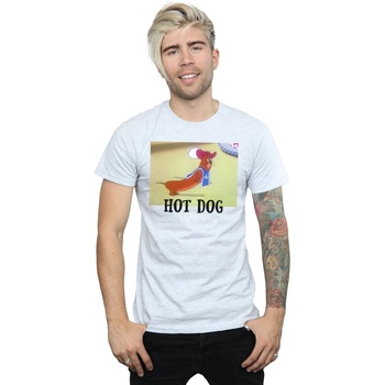 Vêtements Homme T-shirts manches longues Dessins Animés Hot Dog Gris