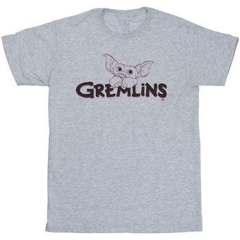 Vêtements Fille T-shirts Norse manches longues Gremlins Logo Line Gris