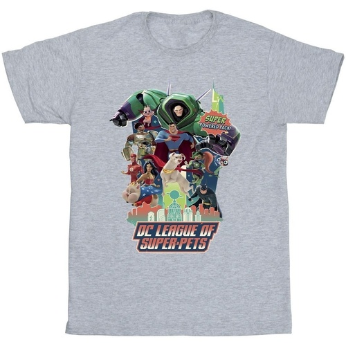 Vêtements Garçon T-shirts manches courtes Dc Comics DC League Of Super-Pets Super Powered Pack Gris