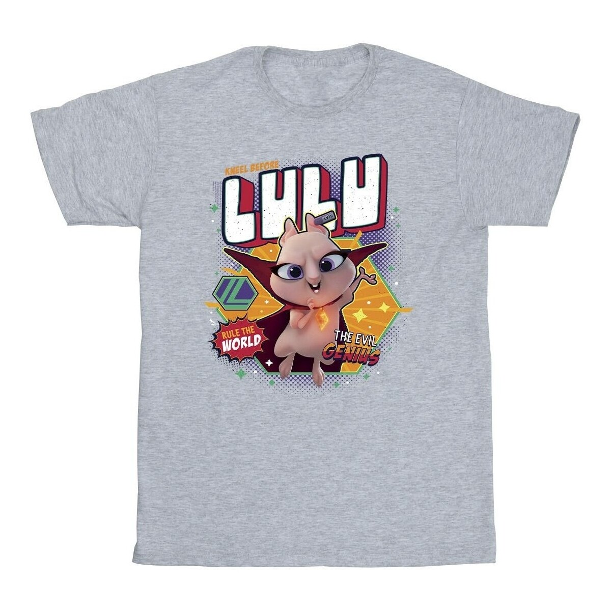 Vêtements Garçon T-shirts manches courtes Dc Comics DC League Of Super-Pets Lulu Evil Genius Gris