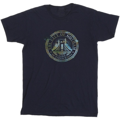 Vêtements Homme T-shirts manches longues Dc Comics The Batman City Of Gotham Magna Crest Bleu